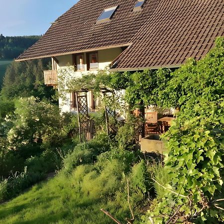 Room In Guest Room - Double Room Apple Blossom Schuttertal Εξωτερικό φωτογραφία