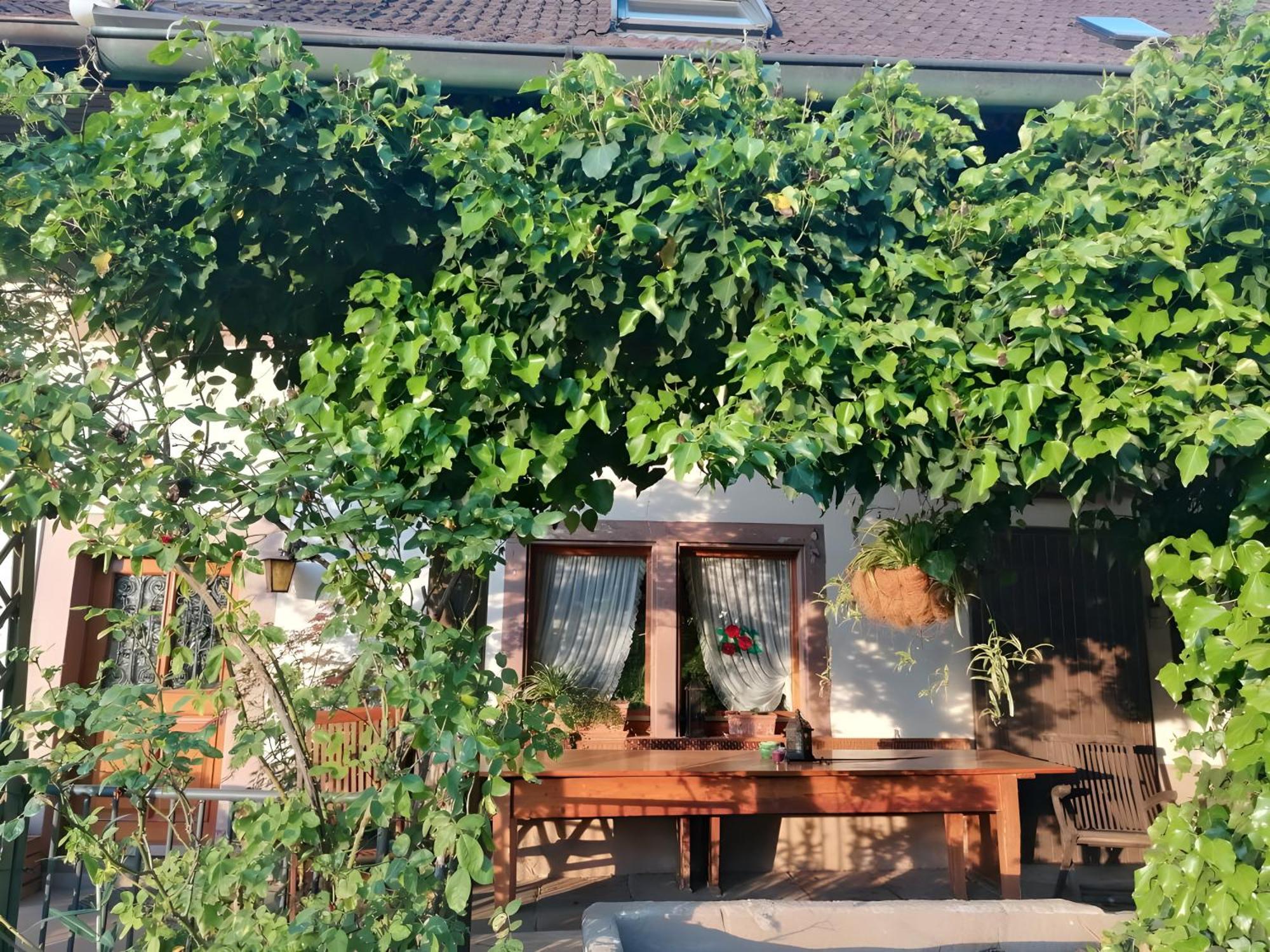 Room In Guest Room - Double Room Apple Blossom Schuttertal Εξωτερικό φωτογραφία